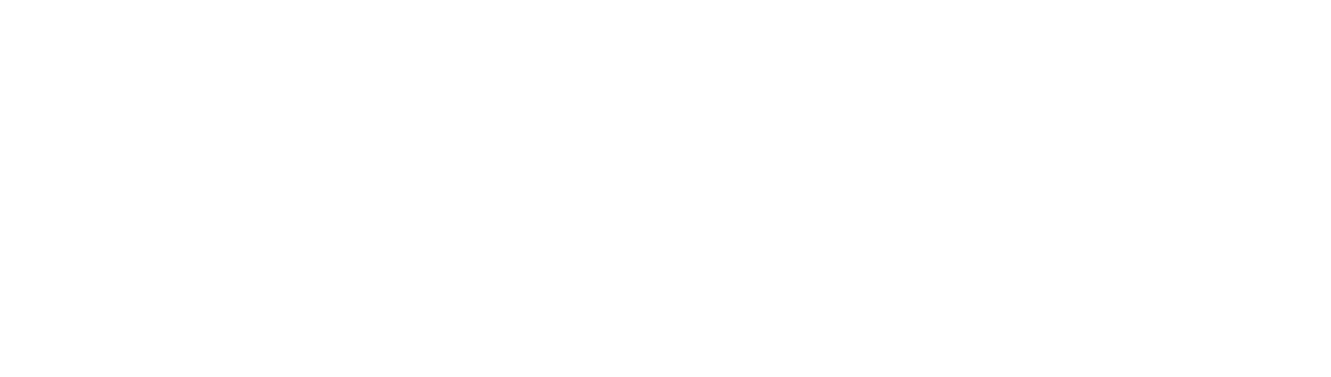 RYVOKI